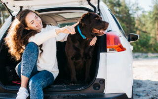 get dogs hair out of car